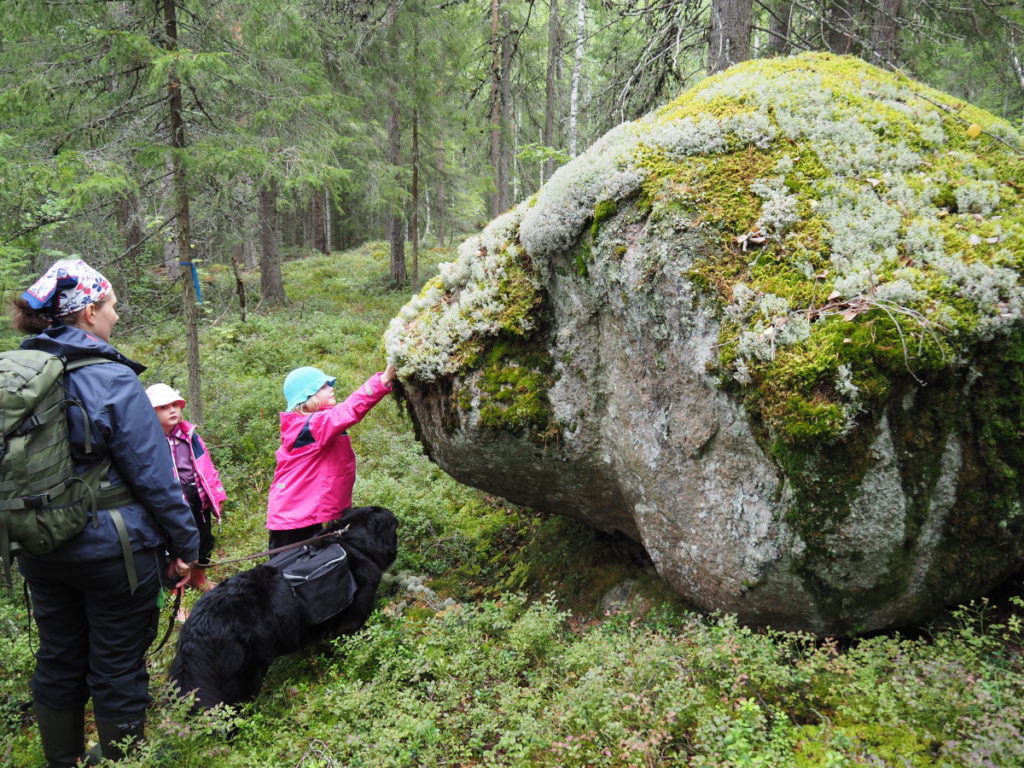 pihlajanmarjoja-my-pihlajavesi